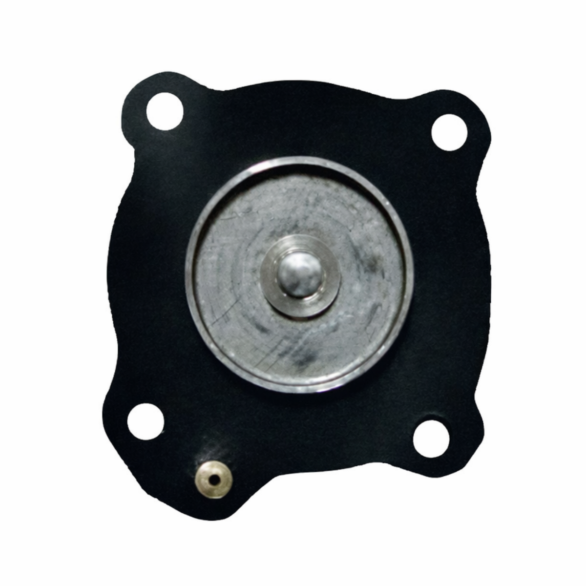 Filter Diaphragm